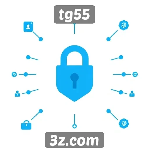 Aspectos de segurança e privacidade no tg55